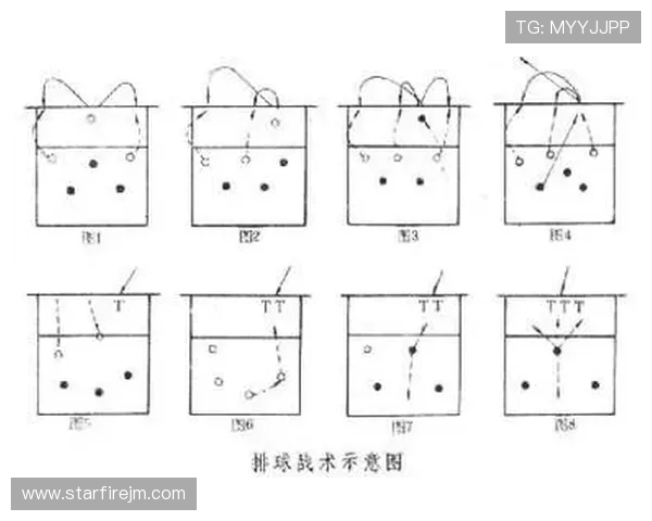 武汉排球队在锦标赛中的速度优势与战术分析